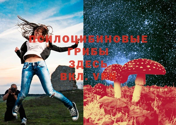 таблы Пролетарск