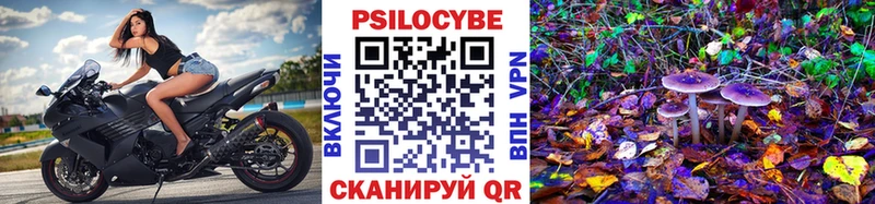 купить закладку  ссылка на мегу ссылки  Галлюциногенные грибы мухоморы  Людиново 